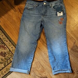 NWT Jag Jeans "Ruby" Staight Cropped Size 14/26